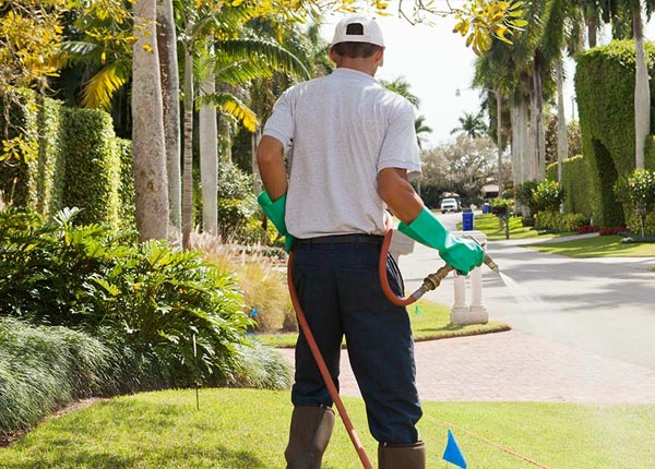 About Rockport ME Pest Control